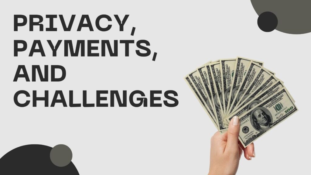 Privacy Payments and Challenges